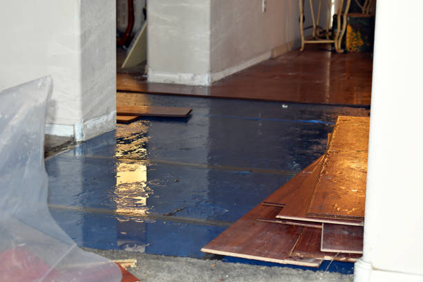 Professional Burst Pipe Cleanup technician working in Cummington, MA